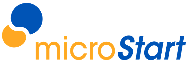 All Connected IT - Logo van onze partner Microstart